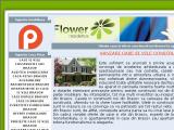 Case Brasov anunturi imobiliare