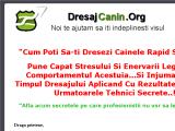 Dresaj canin - Afla cum sa-ti dresezi cainele rapid si usor