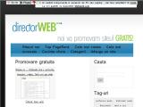 DIRECTOR WEB - Noi va promovam siteul GRATIS