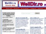 Director Web - WellDir.ro