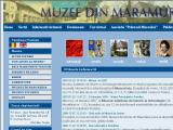 Muzeul Judetean Maramures