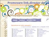 Promovare link, director de internet