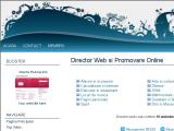 Promovare Site, Director Publicitate Online