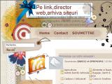 Pe link, arhiva siteuri, director web