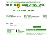 Director web seo