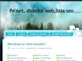 Pe net, lista seo, director web