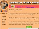 Canisa American Tigers