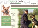 Dresaj canin Bucuresti