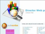 Director, director web