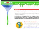 Zebbra Web Design