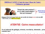 GHID DRESAJ CANIN | Rase Nume Caini