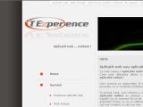 IT Experience - Produse si servicii informatice