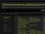 Promovare director, optimizare, inscrieri directoare