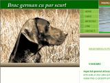 Brac german cu par scurt