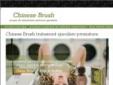 Chinese Brush