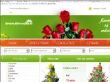 Magazin online de flori