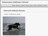 Dobermann Hoffmann