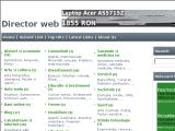 lizarDirector - promovare gratuita site-uri