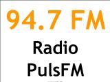 Radio Puls Targoviste